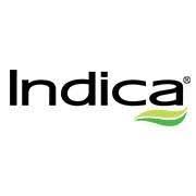 Indica